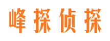 大埔市私家侦探